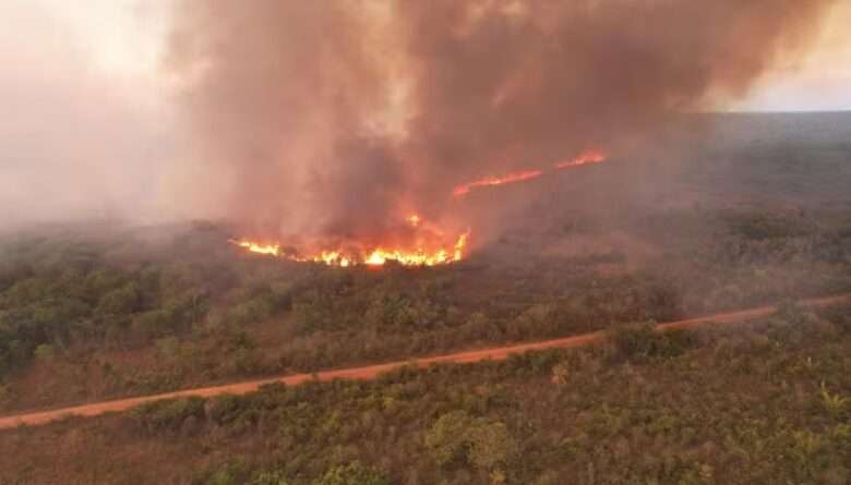 Bombeiros de Mato Grosso combatem 36 incêndios florestais nesta segunda-feira (30)