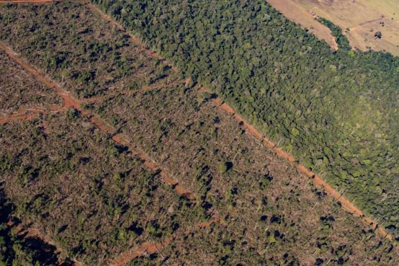 Sema-MT embarga 1,86 milhão de hectares por crimes ambientais em Mato Grosso