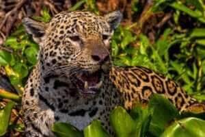 53215487443_c5208a496c_o