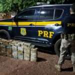 PRF apreende 103 kg de cocaína escondidos em fundo falso de caminhonete na BR-163 em Mato Grosso