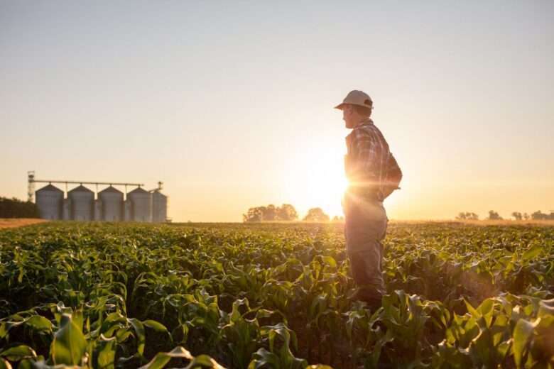 Agroindustria