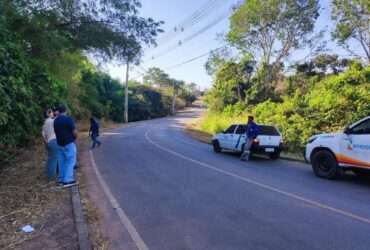 Alta Floresta constrói pontes para a vida e preserva a biodiversidade