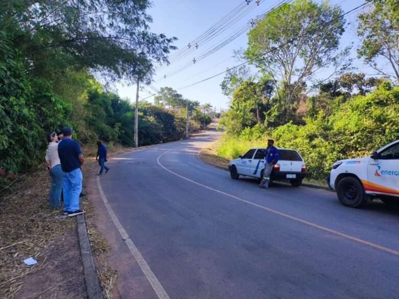 Alta Floresta constrói pontes para a vida e preserva a biodiversidade