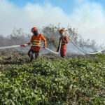 Bombeiros combatem 20 incêndios florestais em Mato Grosso nesta quarta-feira (21)