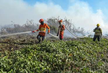 Bombeiros combatem 20 incêndios florestais em Mato Grosso nesta quarta-feira (21)