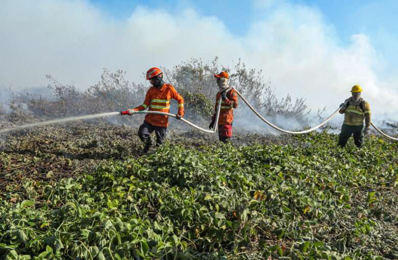 Bombeiros combatem 20 incêndios florestais em Mato Grosso nesta quarta-feira (21)