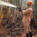 Bombeiros combatem incêndio em terreno baldio próximo ao Fórum de Cuiabá