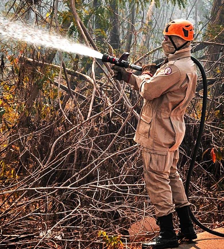 As autoridades reforçam a importância de manter a vigilância e continuar com as ações de prevenção e combate.