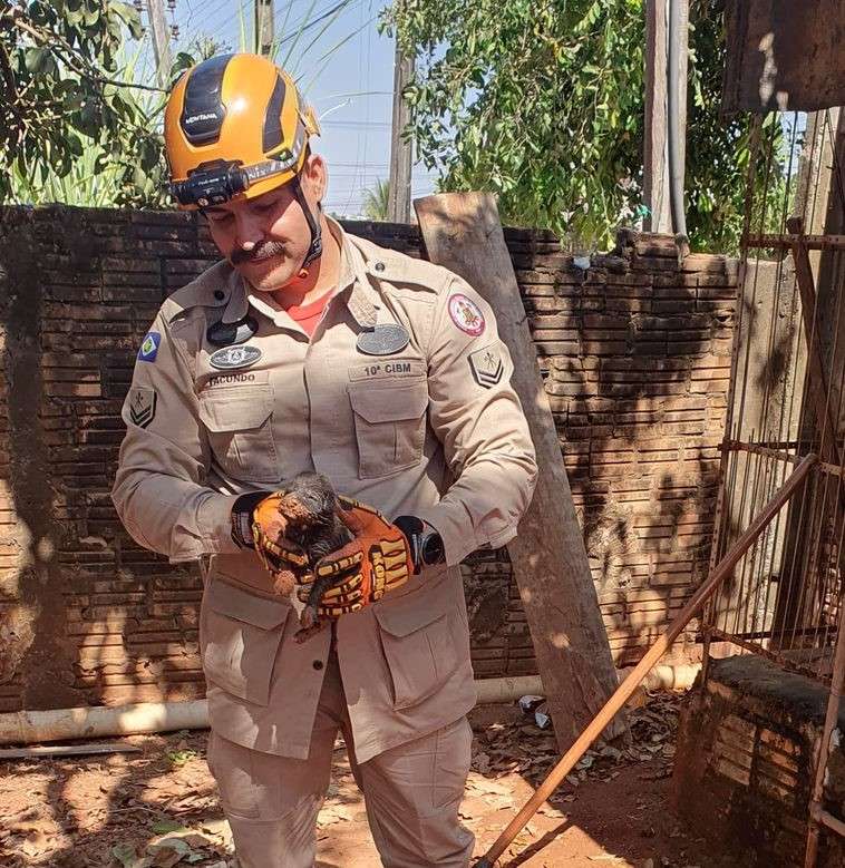 Bombeiros de Sorriso resgatam filhote de cachorro que ficou preso em tubulação de residência