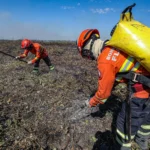 Combate à incêndios no Pantanal-65