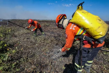 Combate à incêndios no Pantanal-65