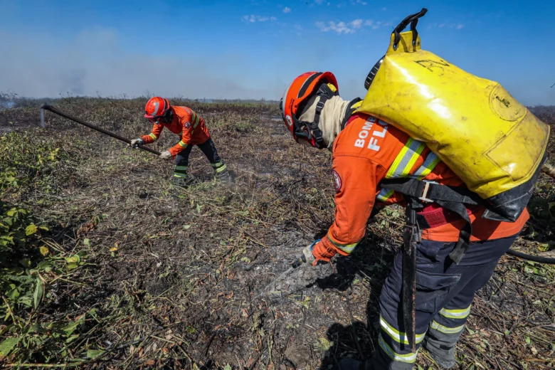 Combate à incêndios no Pantanal-65