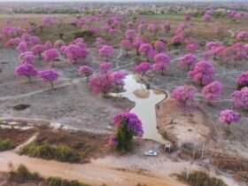 Seca extrema aumenta em Mato Grosso e ameaça o país