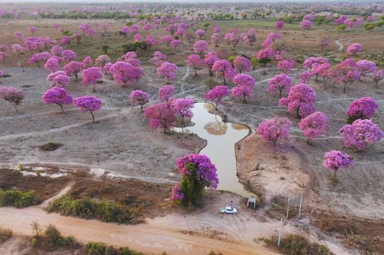 Seca extrema aumenta em Mato Grosso e ameaça o país