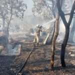 Corpo de Bombeiros combate incêndio em vegetação de terreno de ferro velho