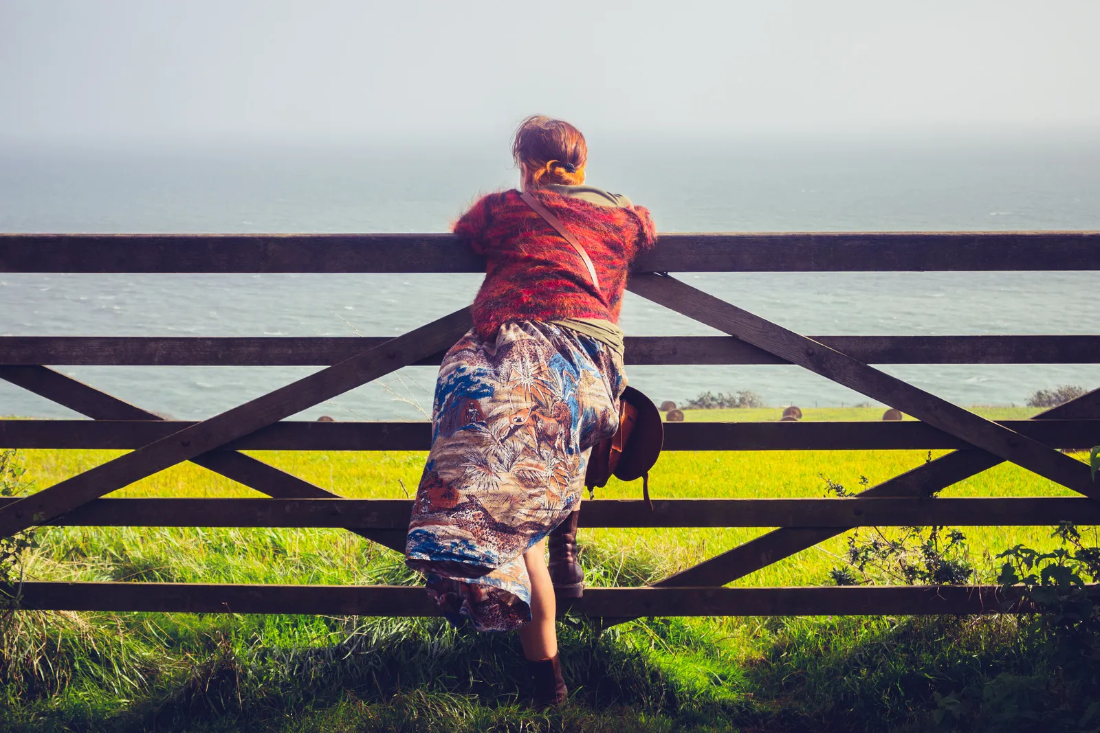 Descansando na fazenda - Foto Canva