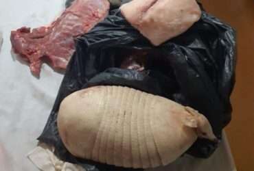 Homem é preso em flagrante com 11kg de pescado ilegal e carne de caça em Mato Grosso