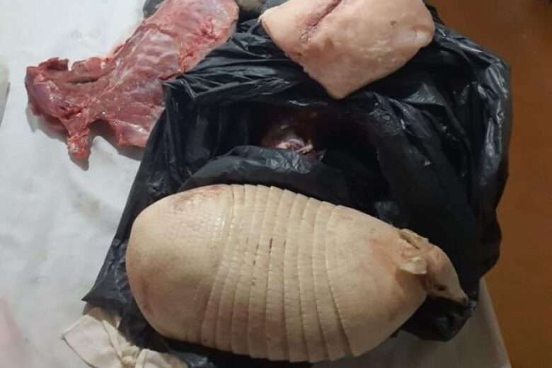 Homem é preso em flagrante com 11kg de pescado ilegal e carne de caça em Mato Grosso