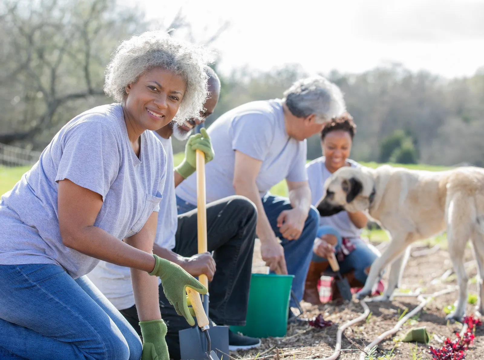 Hortas Comunitárias4