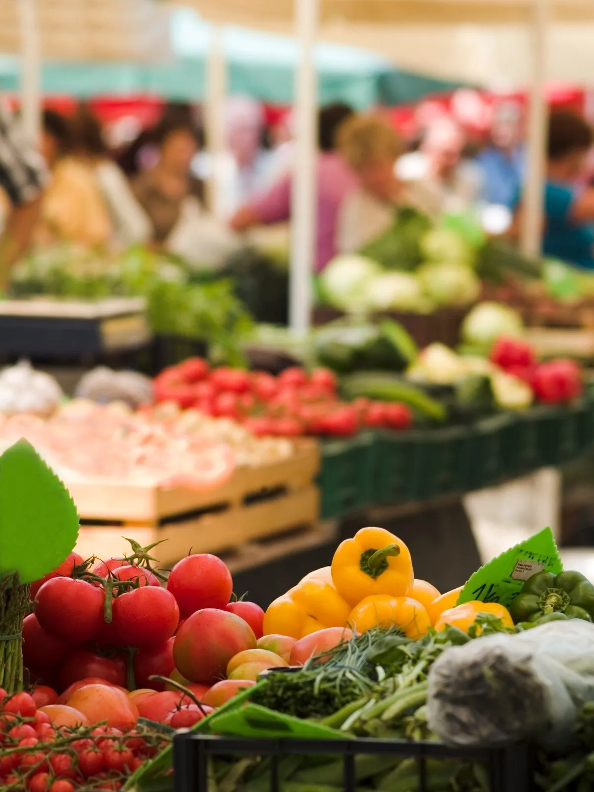 Hortas Comunitárias8