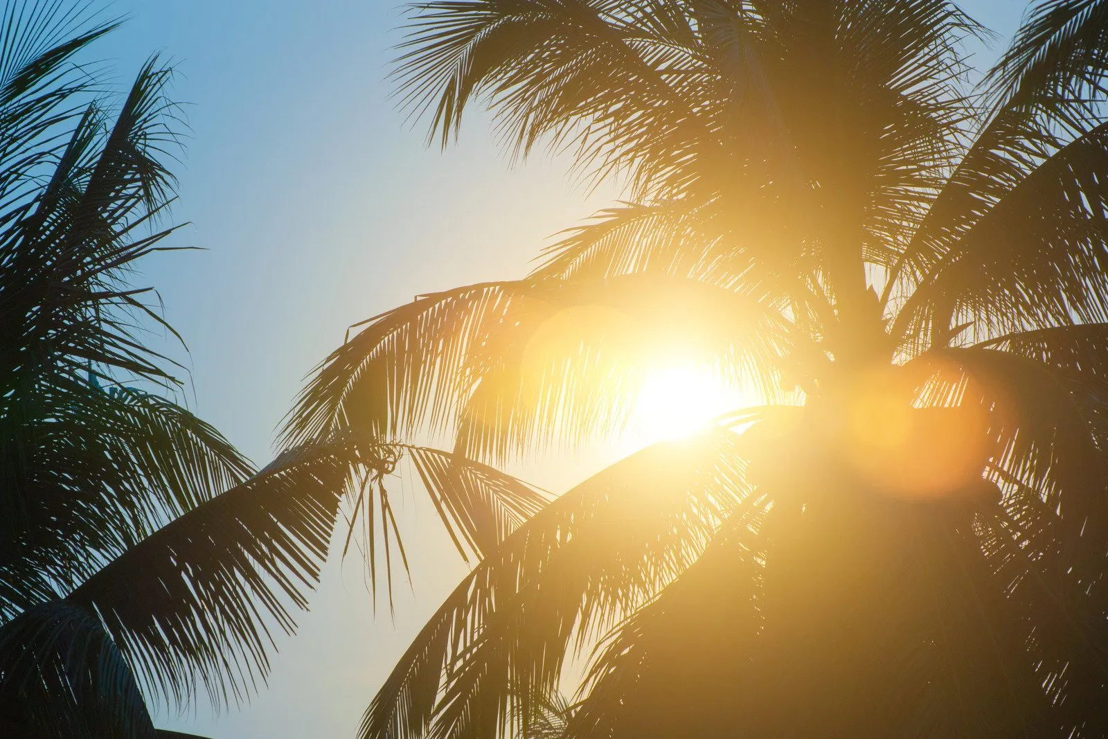 Hot weather, clouds look colorful before sunset. - Fotos do Canva1