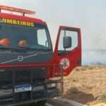 Incêndio em vegetação coloca casas em risco em cidade de Mato Grosso