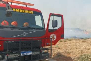 Incêndio em vegetação coloca casas em risco em cidade de Mato Grosso