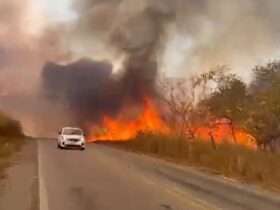 Incêndio gigante interrompe trânsito na MT-251 e coloca em risco a Chapada dos Guimarães