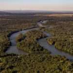 Mato Grosso reduz em 51% o desmatamento na Amazônia em um ano