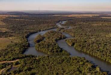 Mato Grosso reduz em 51% o desmatamento na Amazônia em um ano