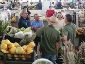 Mercado do Produtor 4427