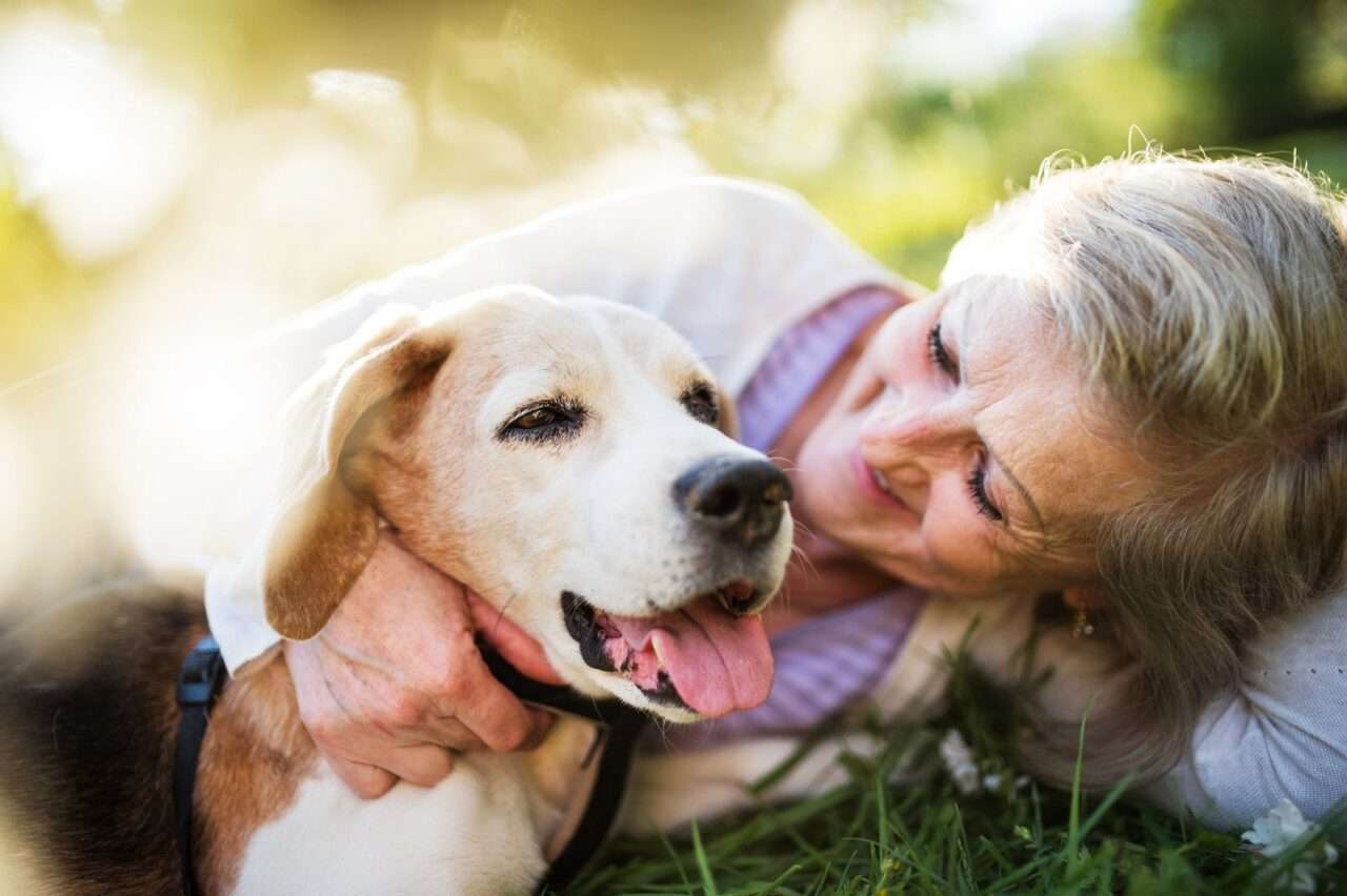 Mulher idosa com cachorro de estimação - Fotos do Canva