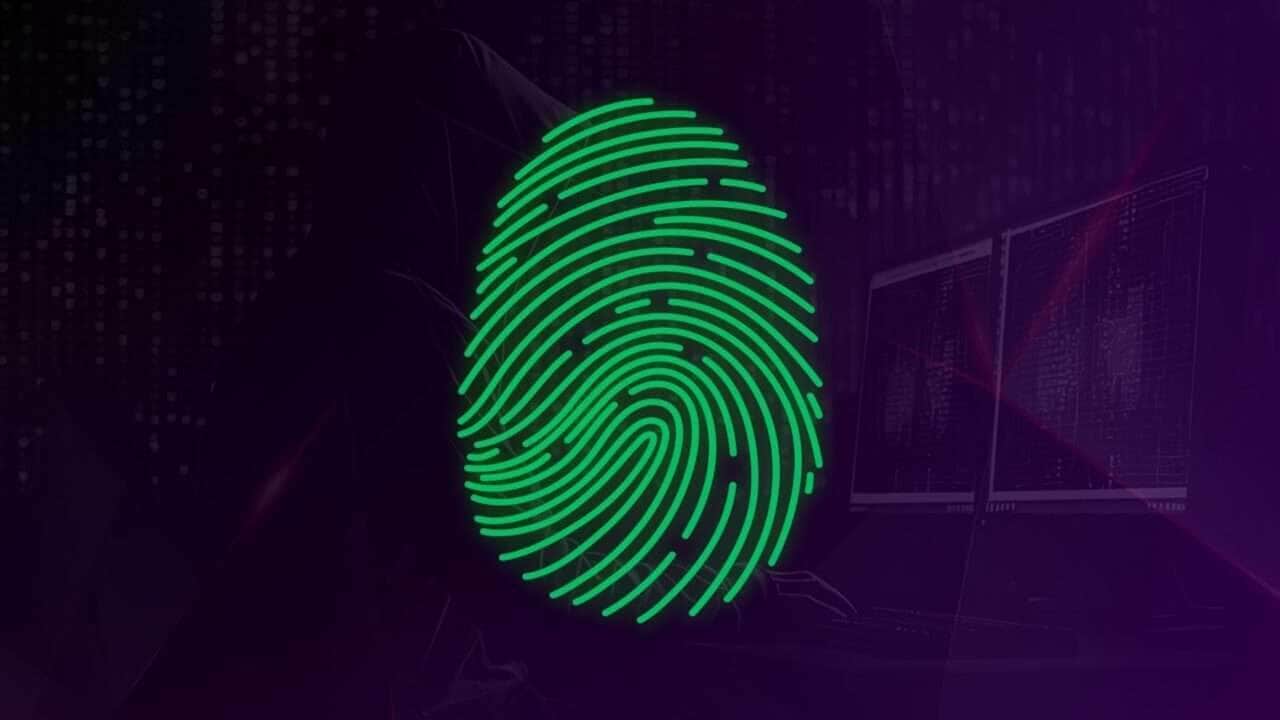 Telegram reforça segurança e lança inovações para combater golpes em 2025