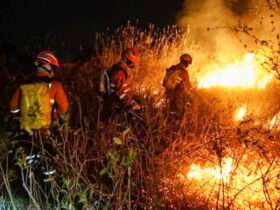 Bombeiros combatem 24 incêndios florestais em Mato Grosso neste sábado (05)