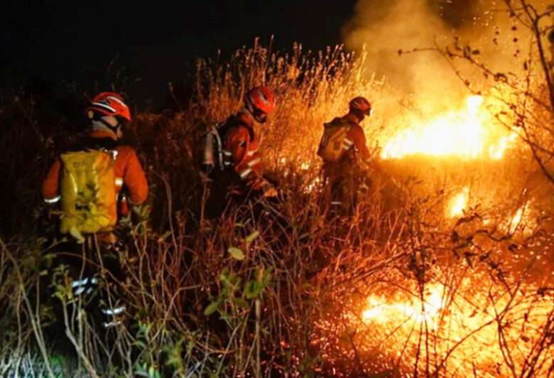 Bombeiros combatem 24 incêndios florestais em Mato Grosso neste sábado (05)