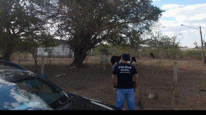 Polícia realiza operação contra maus-tratos a animais em Cuiabá e Várzea Grande