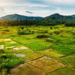 Turismo Rural - Foto Canva4