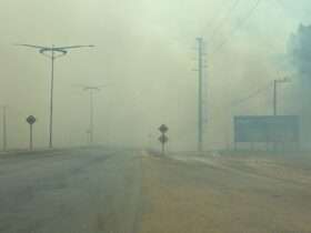 Incêndio em plantação de eucalipto as margens da MT-449 em Lucas do Rio Verde