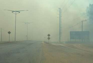 Incêndio em plantação de eucalipto as margens da MT-449 em Lucas do Rio Verde