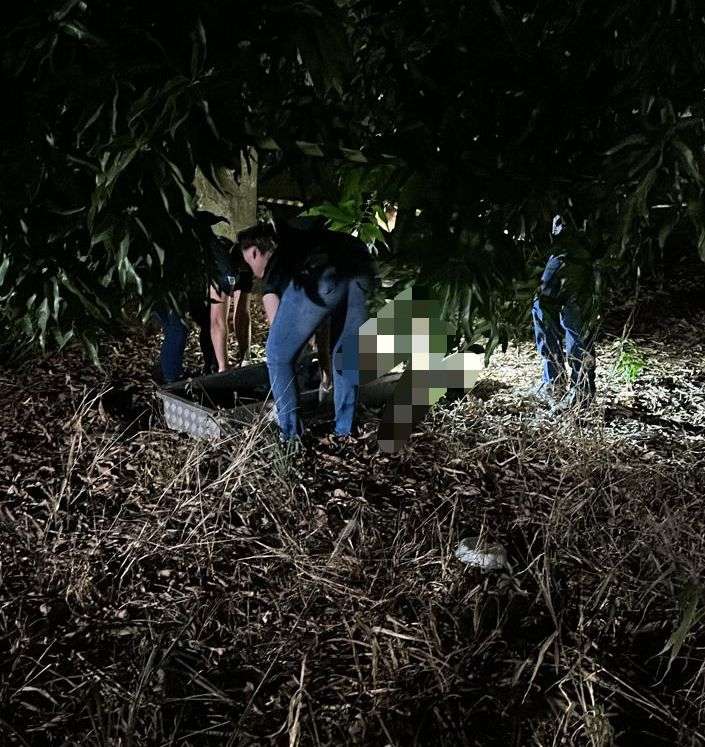 Homem é encontrado morto em terreno baldio em Lucas do Rio Verde