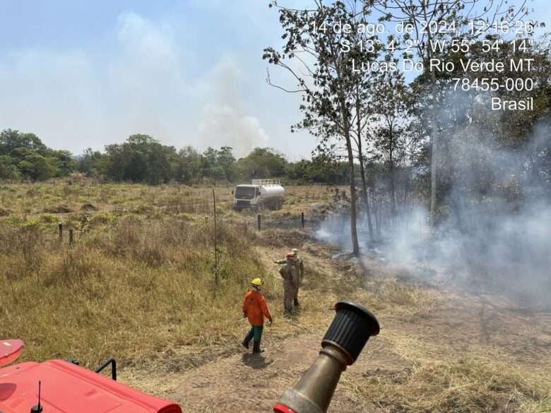 Corpo de Bombeiros combate incêndio florestal que devasta 56 hectares em Lucas do Rio Verde