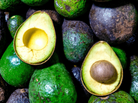 Brasil abre mercado para exportação de abacates para Costa Rica