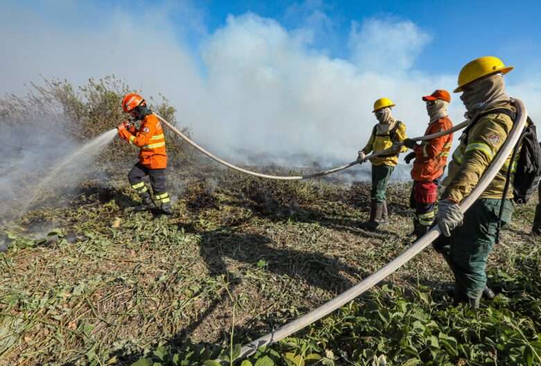 brigadistas combate incendio