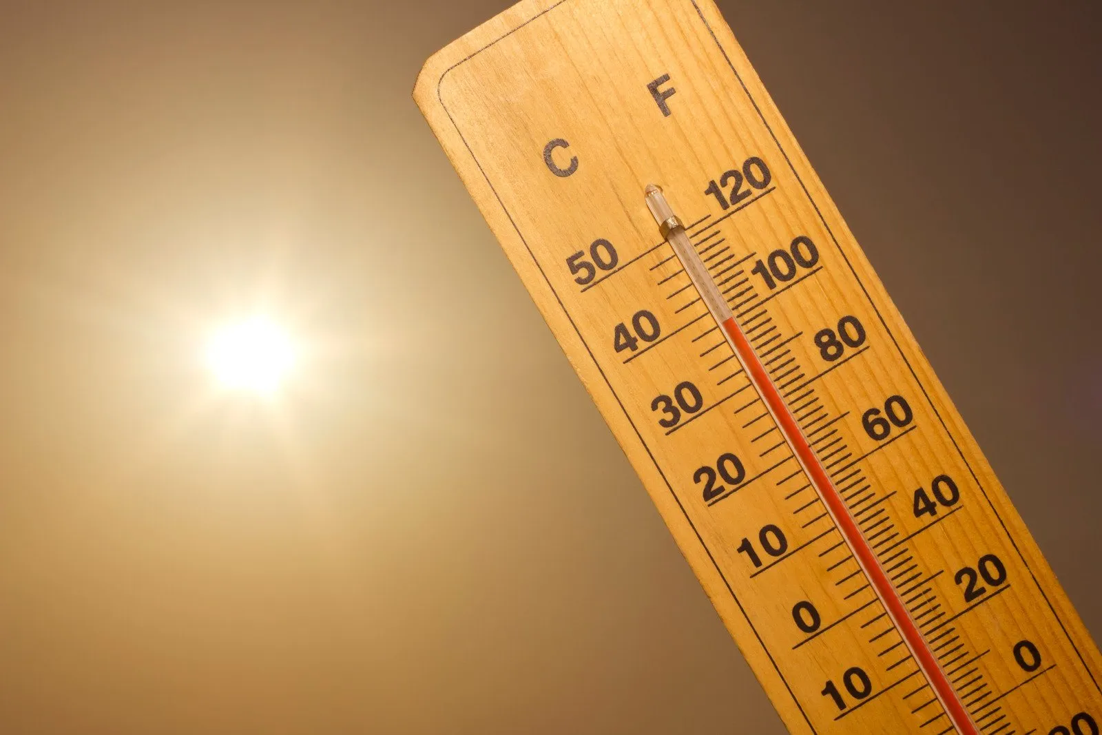 heat wave - Fotos do Canva1