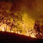 20-02-2024 Queimadas e incêndios em Amajari – Roraima - Foto Jader Souza/AL Roraima