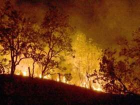 20-02-2024 Queimadas e incêndios em Amajari – Roraima - Foto Jader Souza/AL Roraima