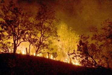 20-02-2024 Queimadas e incêndios em Amajari – Roraima - Foto Jader Souza/AL Roraima