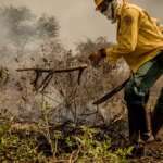 Ministro de Estado do Meio Ambiente, Sr. Ricardo de Aquino Salles faz verificação das atividades de combate ao incêndio no Pantanal Por: Christiano Antonucci /Secom - MT