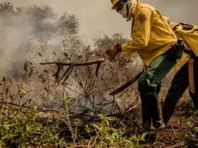 Ministro de Estado do Meio Ambiente, Sr. Ricardo de Aquino Salles faz verificação das atividades de combate ao incêndio no Pantanal Por: Christiano Antonucci /Secom - MT