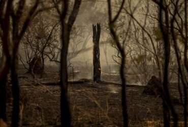 Corpo de Bombeiros combate 22 incêndios florestais em Mato Grosso nesta segunda-feira (07)